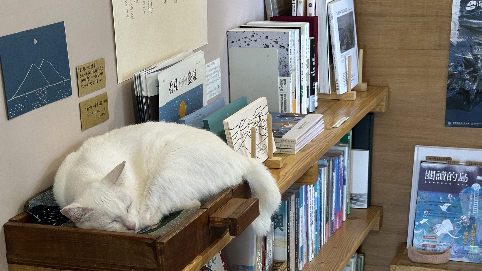 蘭嶼「在海一方」,《書店裡的影像詩》第3季劇照(夢田影像提供)