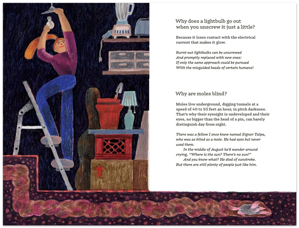 《The Book of Whys》內頁(圖片來源:<a href="https://enchantedlion.com/all-books/the-book-of-whys" target="_blank">Enchanted Lion Books</a>)