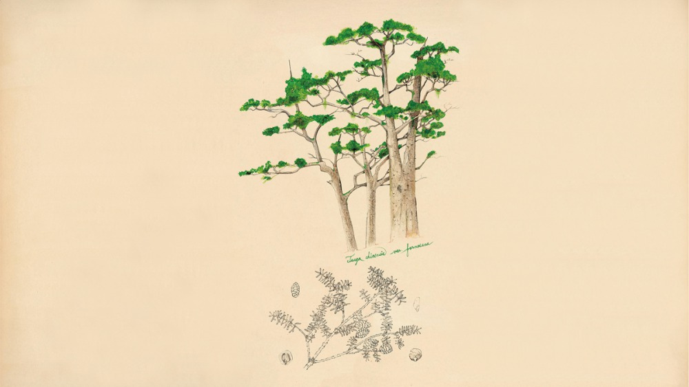 書評|《苦雨之地》誰來為你撐傘 1 bing dun zhi sen 0