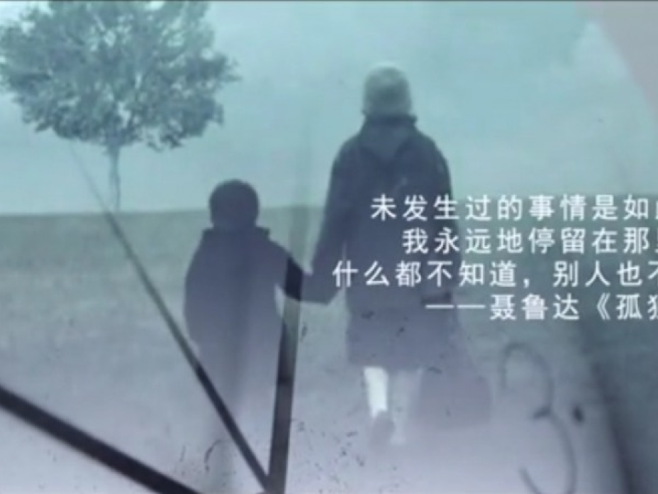 （圖片來源：豆瓣《醒來》詩歌課宣傳片）