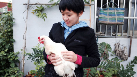 李盈瑩與她飼養的雞隻「小白」。（諸葛望／攝）