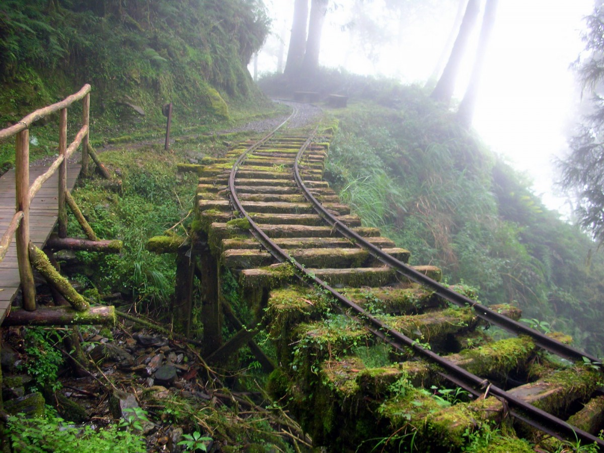 Taiping_Mountain_Forest_Railway_08.jpg