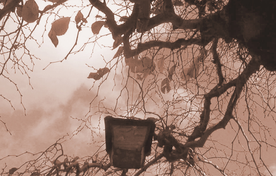 graveyard-trees-3-1468223 Paige Foster.jpg