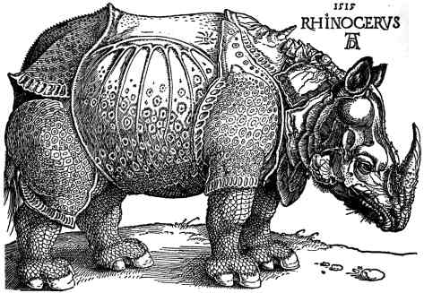 durer_-_rhinoceros.jpg